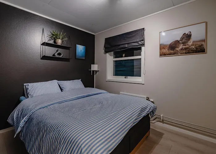 Apartamento Cozy Longyear